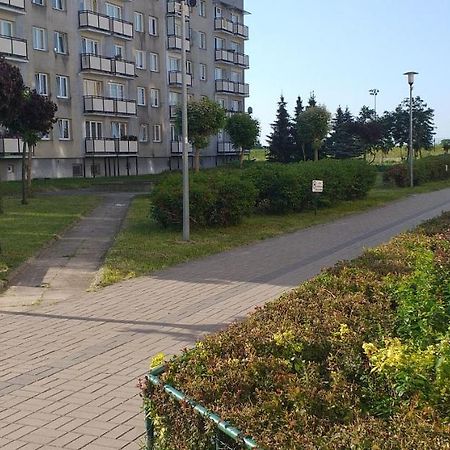 Apartament WikMar Apartment Elblag Bagian luar foto